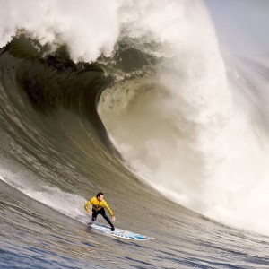 九游下载官方正版-热刺签下一名世界知名前锋，争夺联赛冠军，热刺排第几