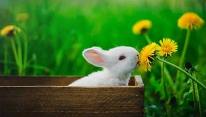 九游手机游戏-特别场地：异域赛道的新奇体验，异域特色是什么意思